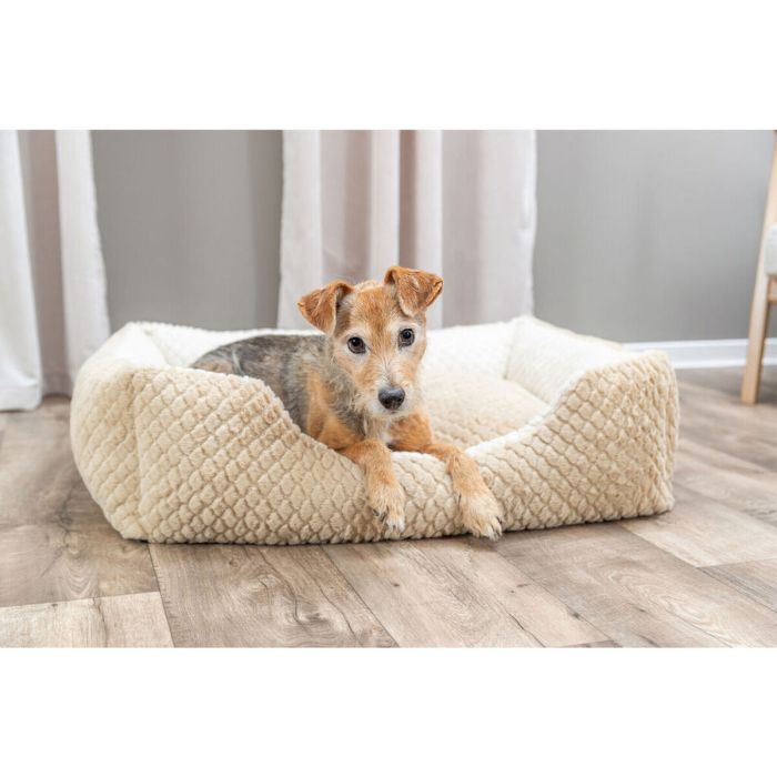Cama para Perro Trixie Kaline Mio Marrón Crema 50 x 40 cm 4 Cama para Perro Trixie Kaline Mio Marrón Crema 50 x 40 cm 4