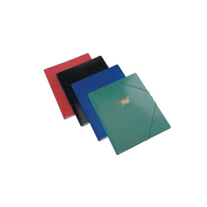 Carpeta Clasificadora Saro Carton Gofrado Nº10 Fº Prol.12 Dptos.Con Gomas Azul 5 unidades