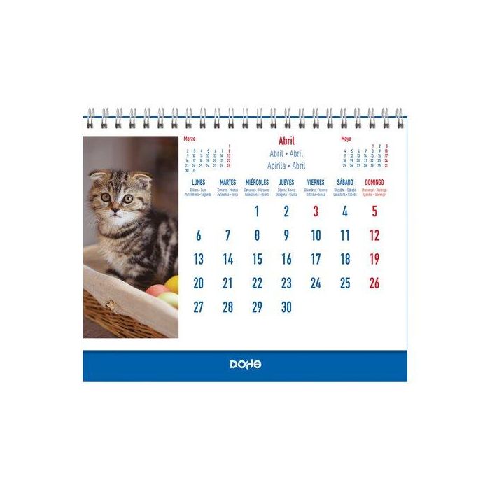 Calendario (2026) Dohe Sobremesa Imagenes Mensual Para Escribir 150X210 Gatos