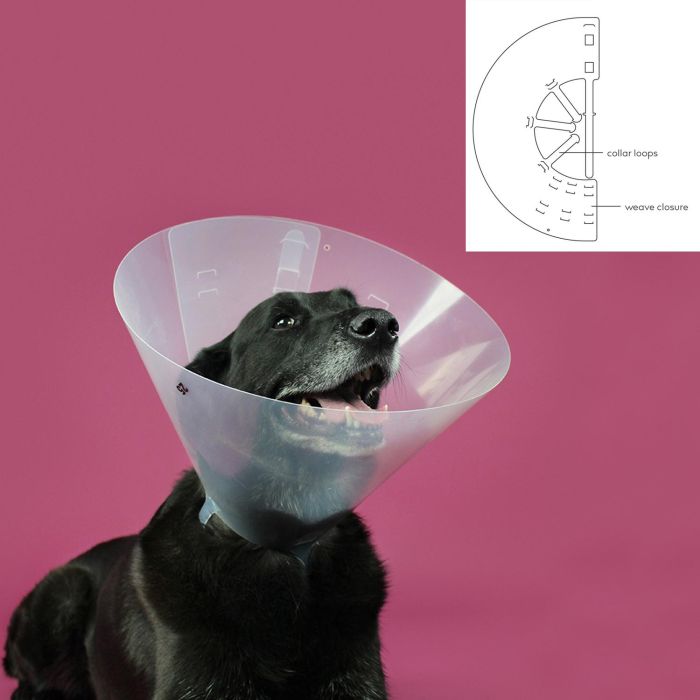 KVP Collar Isabelino Betsy Transparente Plástico Cuello 33-41cm Profundidad 20cm | Ajustable, Protección Total, Reciclable