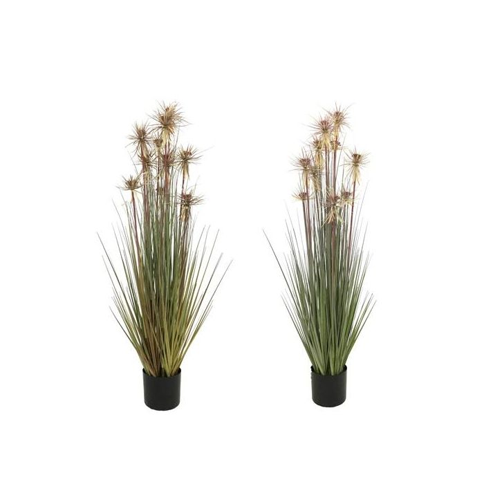 Planta DKD Home Decor Marron Verde 40 x 120 x 40 cm (2 Unidades)
