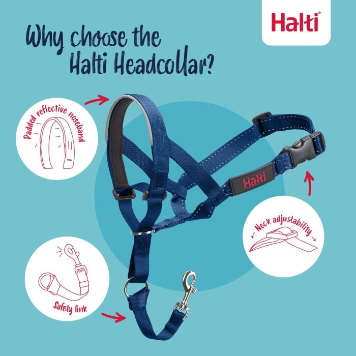 Bozal Company of Animals COBALT Azul Talla 1 4 Bozal Company of Animals COBALT Azul Talla 1 4