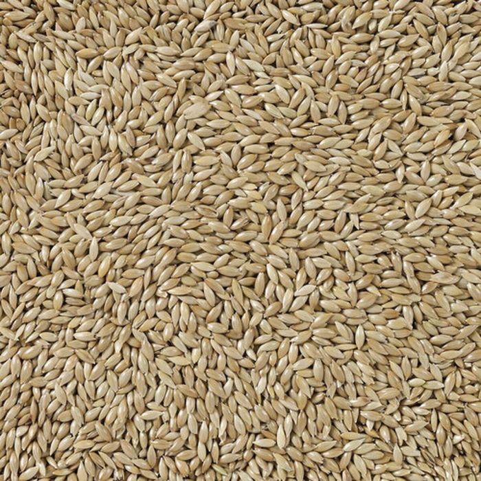 Comida para pájaros Deli Nature Premium 5 kg 1 Comida para pájaros Deli Nature Premium 5 kg 1