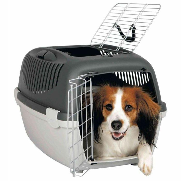TRIXIE Capri 3 Caja de transporte para perros de plástico 40x38x61 cm, Gris claro/gris, Techo abatible, Puerta metálica, hasta 12 kg 1 TRIXIE Capri 3 Caja de transporte para perros de plástico 40x38x61 cm, Gris claro/gris, Techo abatible, Puerta metálica, hasta 12 kg 1