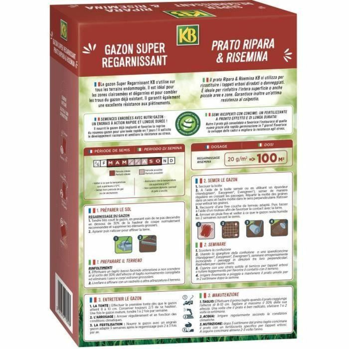 KB KREGFAC100 Semillas Césped Super Replenishing 2 kg para Sombra - Germinación Rápida 7 Días - Cubre 100m² 1 KB KREGFAC100 Semillas Césped Super Replenishing 2 kg para Sombra - Germinación Rápida 7 Días - Cubre 100m² 1
