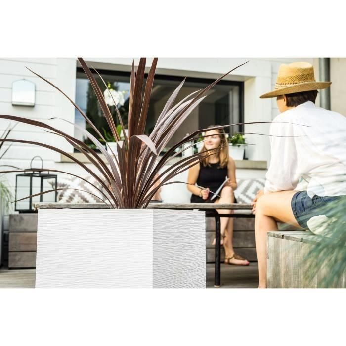 EDA Maceta cuadrada Graphit 39x39x43 cm, 35 L, Ceruse blanco, Anticongelante, Anti-UV, Interior/Exterior 1 EDA Maceta cuadrada Graphit 39x39x43 cm, 35 L, Ceruse blanco, Anticongelante, Anti-UV, Interior/Exterior 1