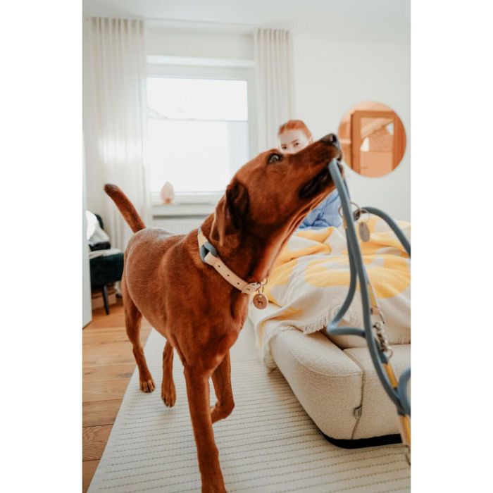 Correa para Perro Hunter MALIA Azul 1 x 200 cm 2