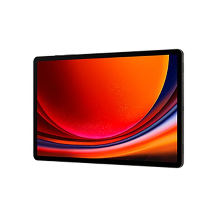 Samsung Galaxy Tab S9+ Wifi 12/256 Gray 1 Samsung Galaxy Tab S9+ Wifi 12/256 Gray 1