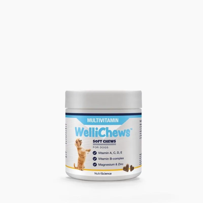 Wellichews Multivitamínico Perro 60U 114.6 gr