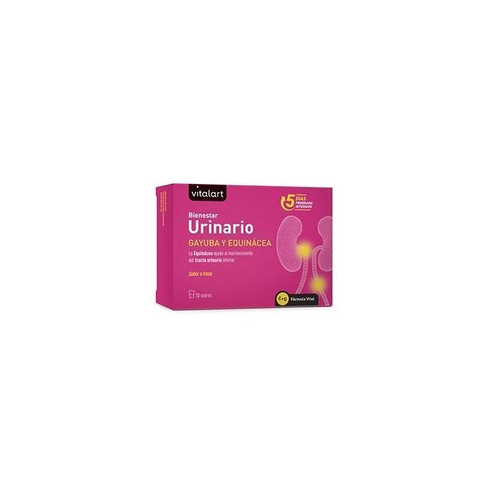 Vitalart Bienestar Urinario con Gayuba, Arándano Rojo y Equinácea, Sabor Fresa, 10 Sobres