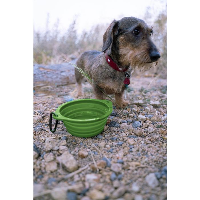 Gloria Comedero Plegable de Silicona de 550 mL Verde con Mosquetón. Perfecto para Mascotas en Viajes y Excursiones. 4 Gloria Comedero Plegable de Silicona de 550 mL Verde con Mosquetón. Perfecto para Mascotas en Viajes y Excursiones. 4