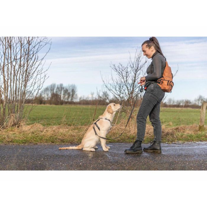 Bolso para Mascotas Trixie Rolltop Naranja 8