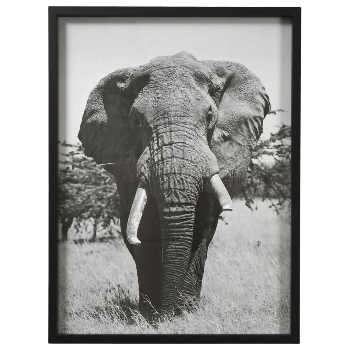 Home Deco Factory Cuadro 45x60 cm Blanco Negro Madera MDF Vidrio Papel Imágenes Blanco y Negro 3 Home Deco Factory Cuadro 45x60 cm Blanco Negro Madera MDF Vidrio Papel Imágenes Blanco y Negro 3