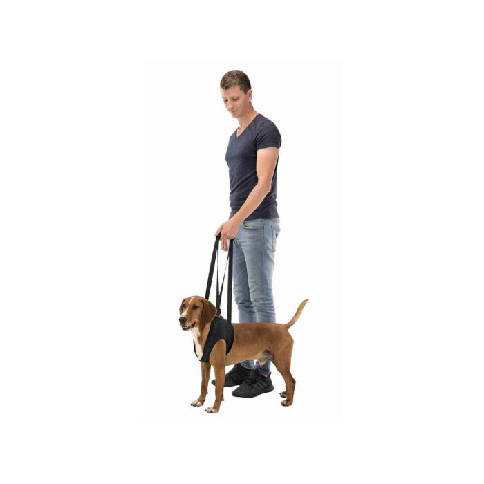 Andador para perros Trixie 4 Andador para perros Trixie 4