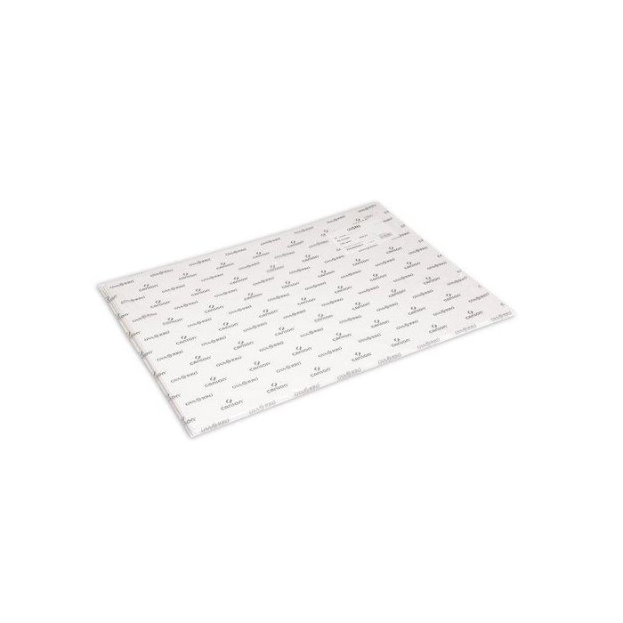 Lamina Guarro-Canson Dibujo Basik 150G 50X70 Cm (Set de 50)