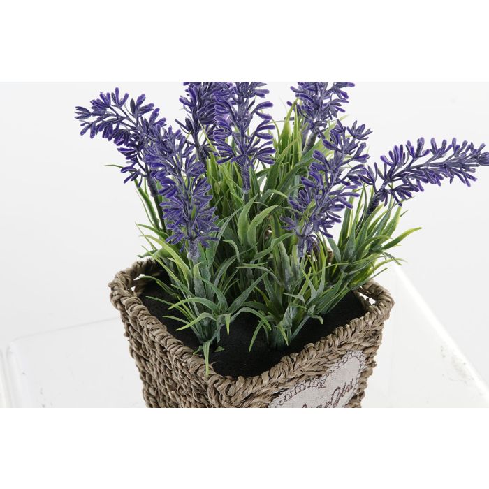 DKD Home Decor Planta Lila Natural Metal Pe 12 x 22 x 12 cm (6 Unidades) 2 DKD Home Decor Planta Lila Natural Metal Pe 12 x 22 x 12 cm (6 Unidades) 2