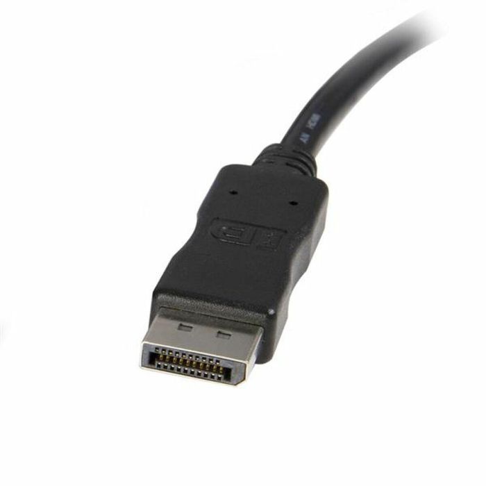 Cable DisplayPort a DVI Startech DP2DVIMM10 Negro 1