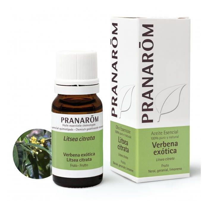 Verbena Exótica Bio Verbena Exótica Bio