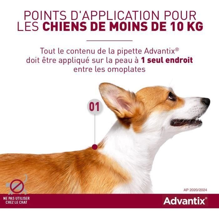 Pipetas antiparasitarias ADVANTIX 6: para perros pequeños de 4 a 10 kg 1