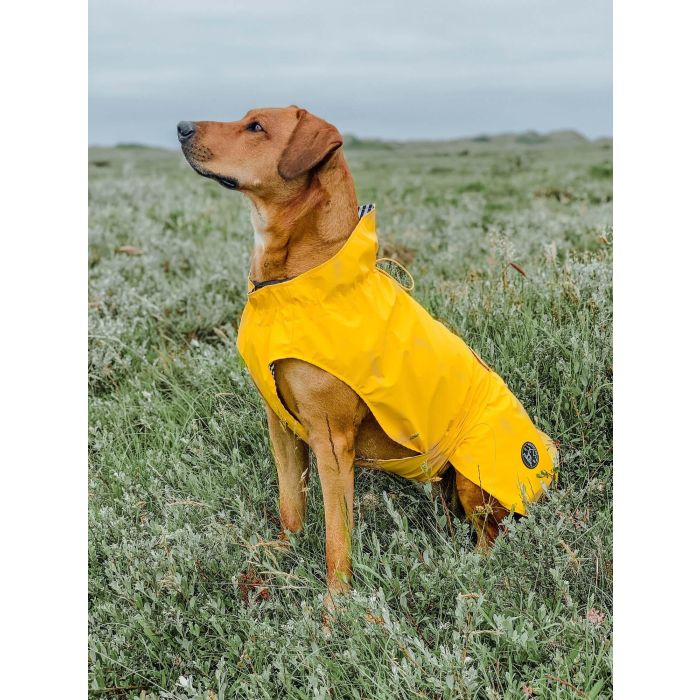 Abrigo para Perro Hunter Milford Amarillo 40 cm 2 Abrigo para Perro Hunter Milford Amarillo 40 cm 2