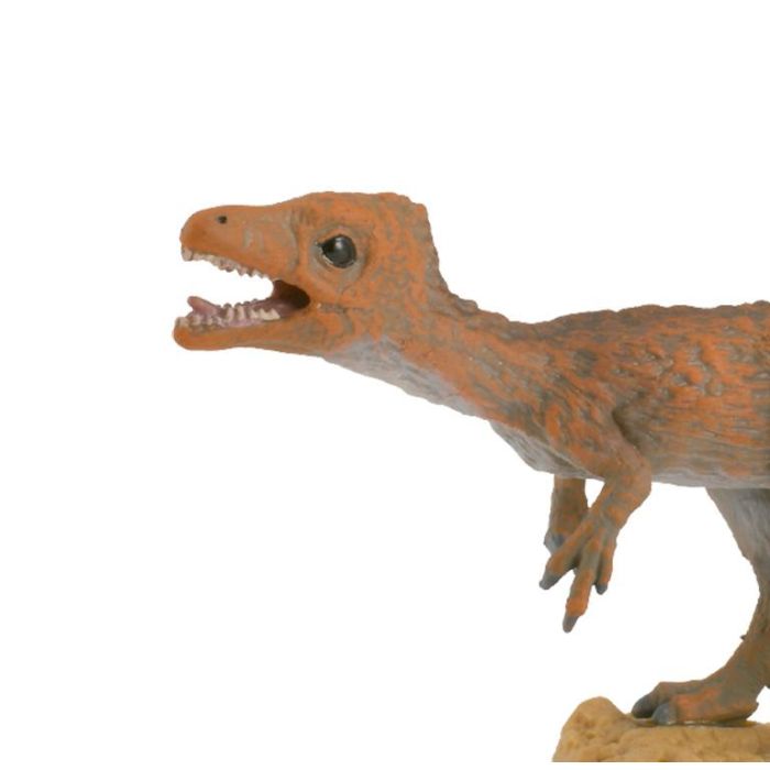 Sciurumimus - M - 88811 - Collecta 1 Sciurumimus - M - 88811 - Collecta 1