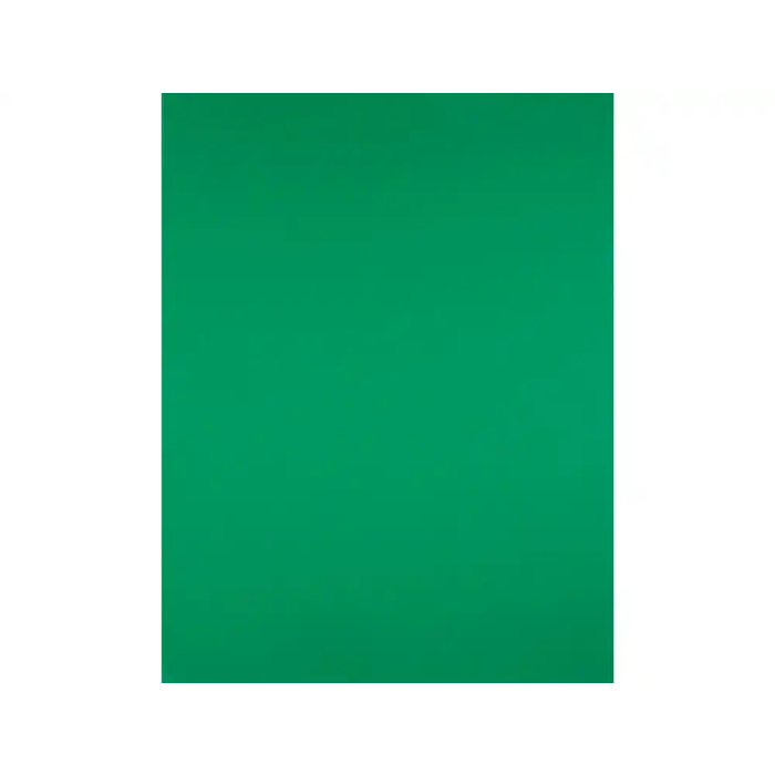 Liderpapel Cartulina 50x65 cm 240g/m2 Verde Navidad Paquete de 25 Hojas 2