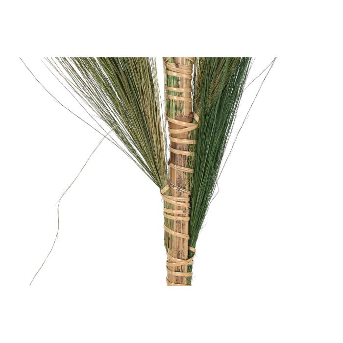 Rama Balines DKD Home Decor Natural Verde 1.5 x 240 x 30 cm (10 Unidades) 3 Rama Balines DKD Home Decor Natural Verde 1.5 x 240 x 30 cm (10 Unidades) 3