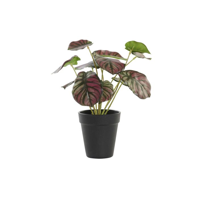 Planta  DKD Home Decor Verde Rosa 10 x 27 x 10 cm (10 Unidades)