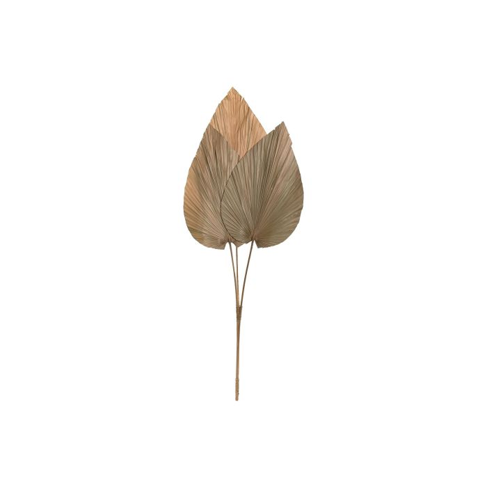 DKD Home Decor Decoración Balines de Hoja de Palmera Natural, 90 cm Alto x 33 cm Ancho, (12 Unidades) con 3 Hojas