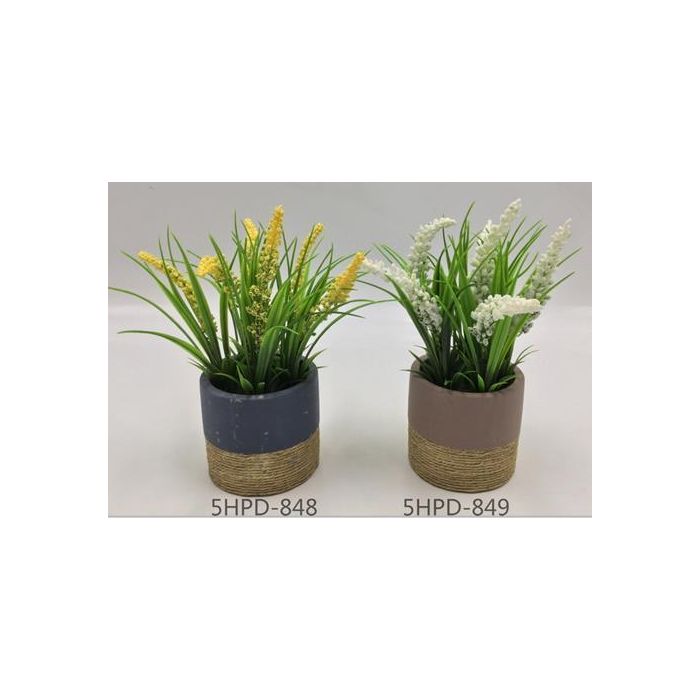 Planta DKD Home Decor Amarillo Blanco 9 x 21 x 9 cm (12 Unidades)