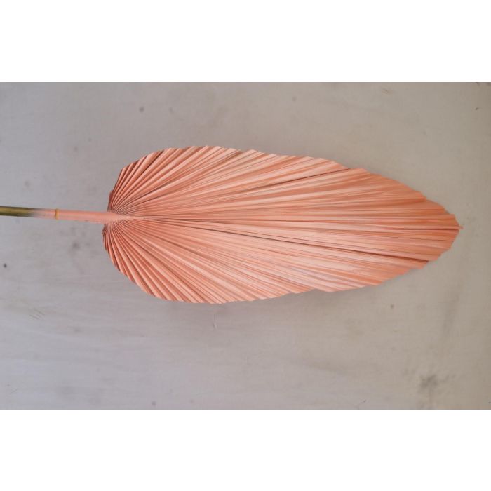 Rama Urban DKD Home Decor Rosa Naranja 2 x 148 x 22 cm (12 Unidades) 3