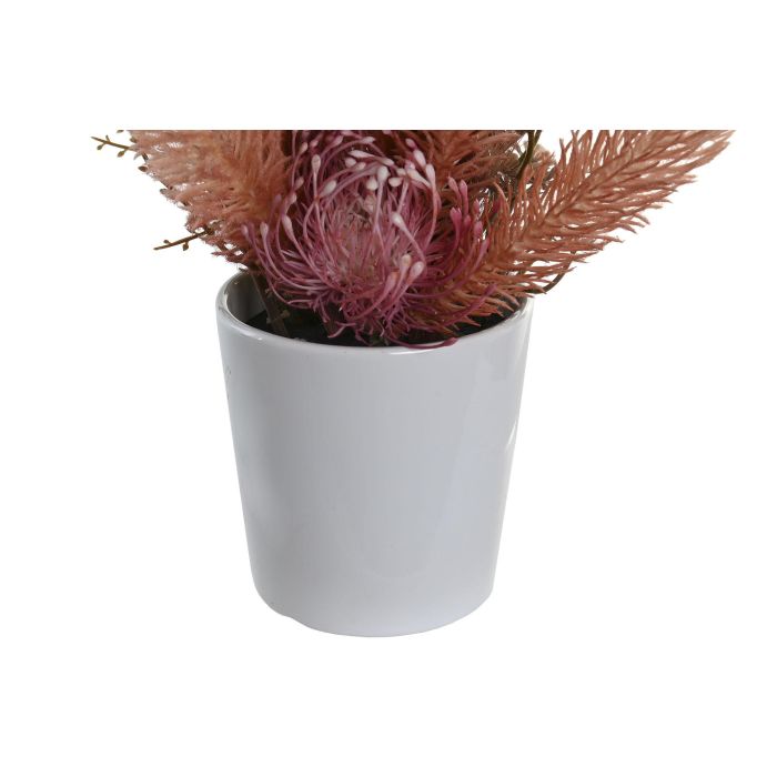 Planta  DKD Home Decor Rosa Melocoton 11 x 36 x 11 cm (12 Unidades) 2