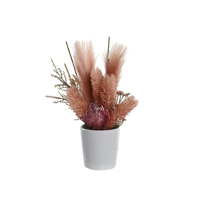 Planta  DKD Home Decor Rosa Melocoton 11 x 36 x 11 cm (12 Unidades)