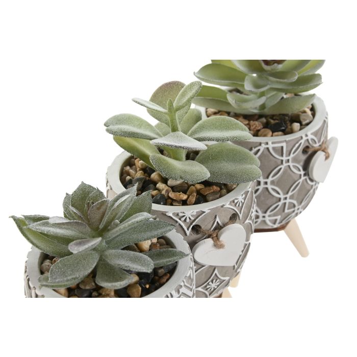 Planta Shabby DKD Home Decor Gris Verde 9.5 x 12 x 9.5 cm (12 Unidades) 2