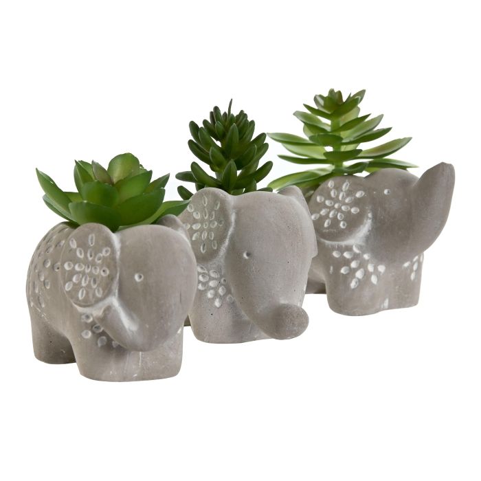 Planta  DKD Home Decor Gris Verde 5 x 7 x 8 cm (12 Unidades) 1