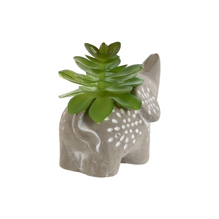 Planta  DKD Home Decor Gris Verde 5 x 7 x 8 cm (12 Unidades) 2