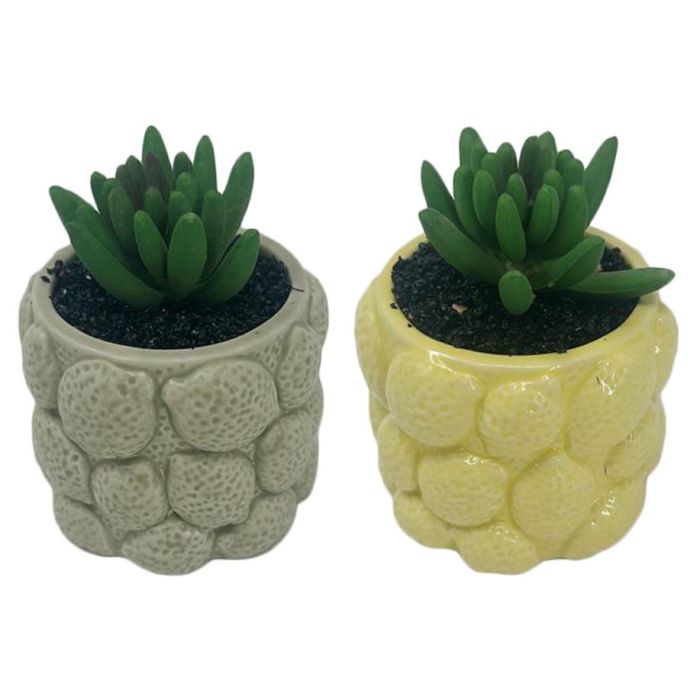 Planta Moderno DKD Home Decor Verde Amarillo 8.5 x 10.5 x 8.5 cm (12 Unidades)