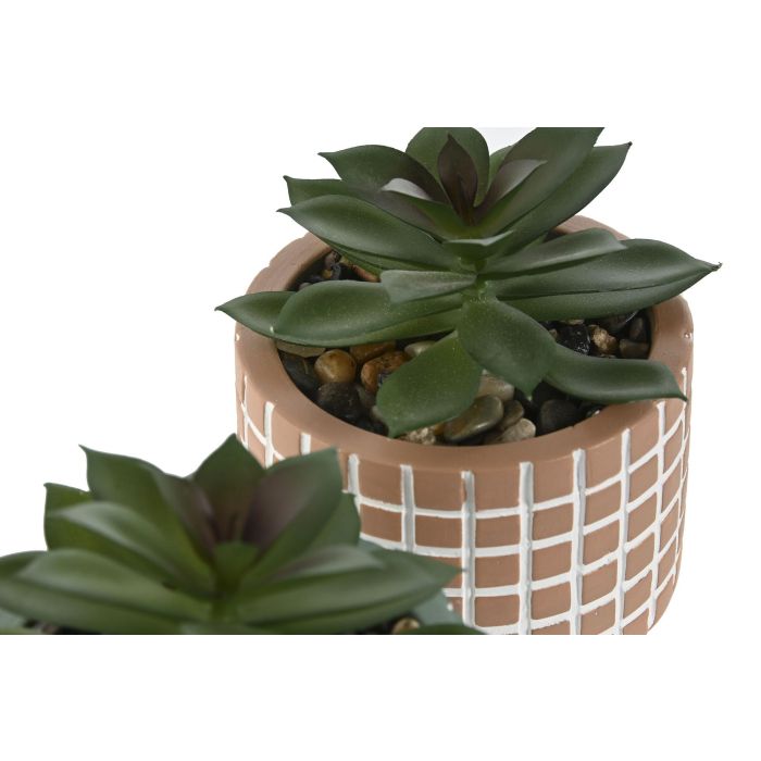 Planta  DKD Home Decor Verde Terracota 8 x 10 x 8 cm (12 Unidades) 2