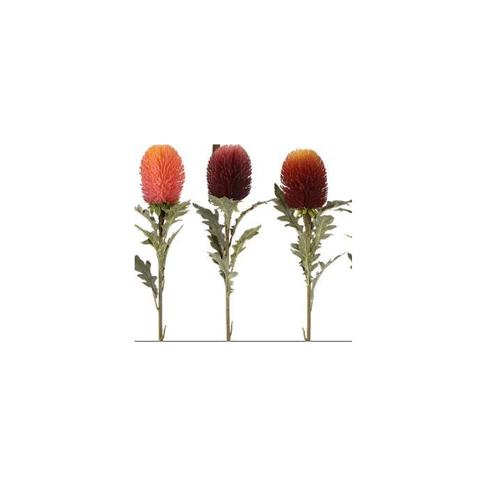 Flor  DKD Home Decor Naranja Burdeos 20 x 60 x 20 cm (24 Unidades)