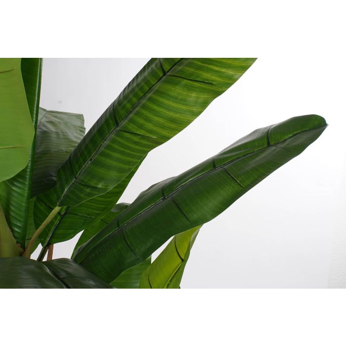 Planta Tropical DKD Home Decor Verde Negro 130 x 200 x 130 cm (2 Unidades) 1