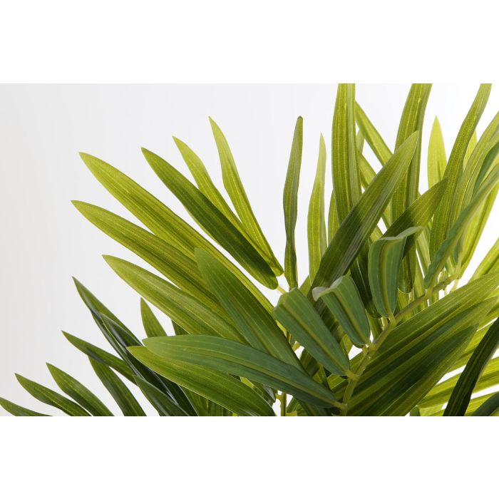 Planta Tropical DKD Home Decor Verde 50 x 70 x 40 cm (2 Unidades) 1