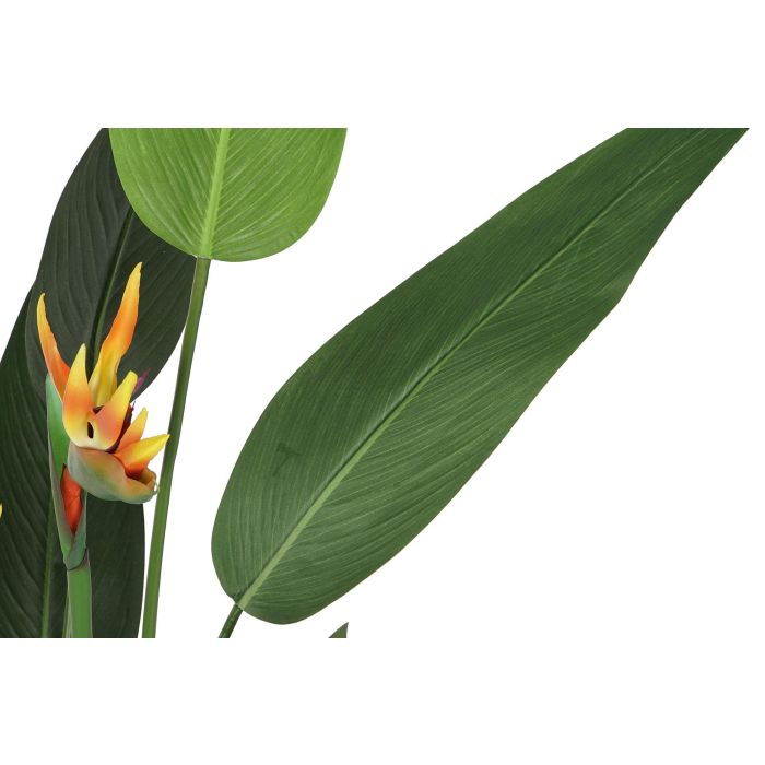 Planta Tropical DKD Home Decor Verde Naranja 50 x 150 x 50 cm (2 Unidades) 3