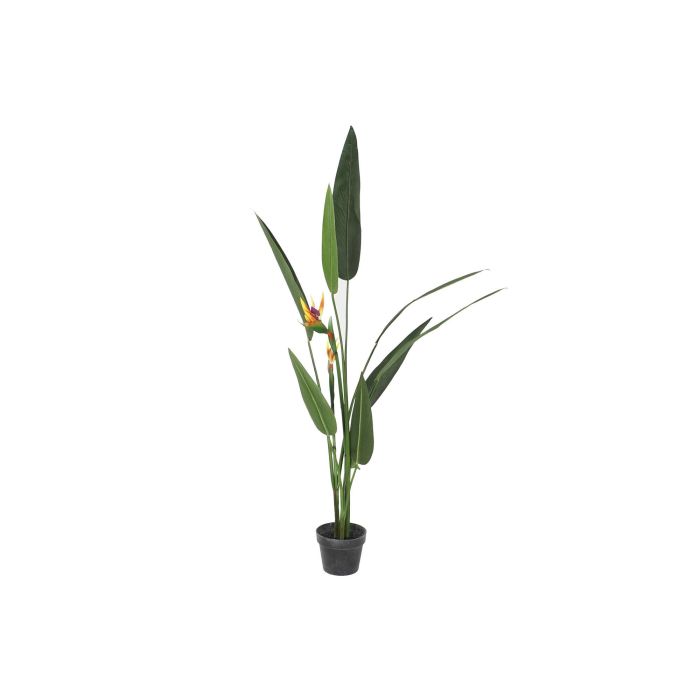 Planta Tropical DKD Home Decor Verde Naranja 50 x 150 x 50 cm (2 Unidades)