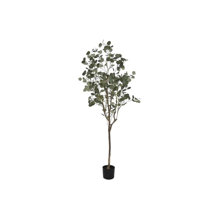 Arbol DKD Home Decor Verde 80 x 180 x 80 cm (2 Unidades)