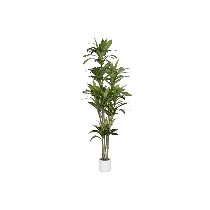 Arbol  DKD Home Decor Verde 80 x 218 x 68 cm (2 Unidades)