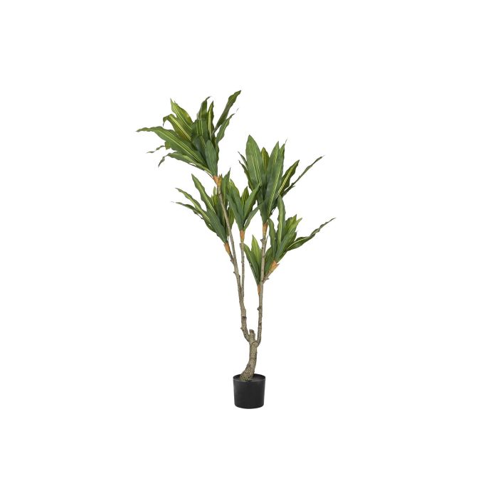 Planta DKD Home Decor Verde 70 x 160 x 70 cm (2 Unidades)