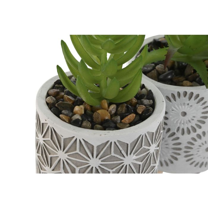 Planta  DKD Home Decor Gris Verde 6.5 x 11 x 6.5 cm (3 Unidades) 2