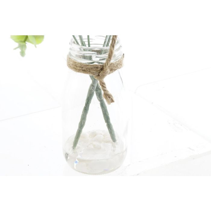 Planta  DKD Home Decor Verde Transparente 24 x 33 x 24 cm (4 Unidades) 2