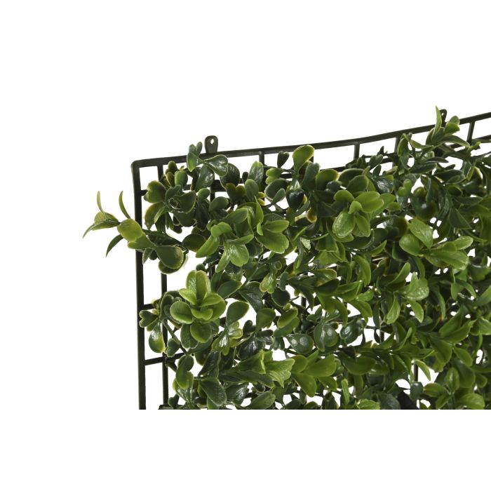 Jardin Vertical  DKD Home Decor Verde 50 x 5 x 50 cm (4 Unidades) 1