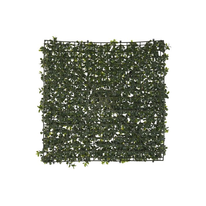 Jardin Vertical  DKD Home Decor Verde 50 x 5 x 50 cm (4 Unidades) 3